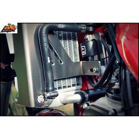 _AXP Racing Radiator Protectors Beta RR 250/300 14-17 | AX1311 | Greenland MX_