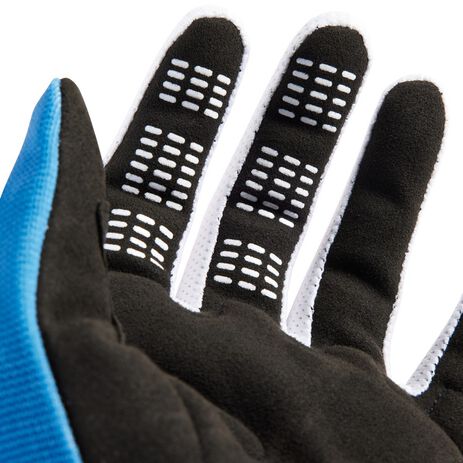 _Fox 180 Morphic Gloves | 30418-430-P | Greenland MX_