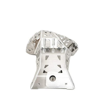 _P-Tech Skid Plate with Exhaust Pipe Guard Beta RR 250/300 23-.. | PK025 | Greenland MX_